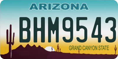 AZ license plate BHM9543
