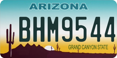 AZ license plate BHM9544