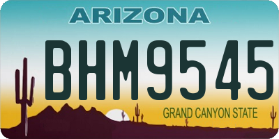 AZ license plate BHM9545