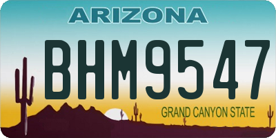 AZ license plate BHM9547