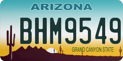 AZ license plate BHM9549