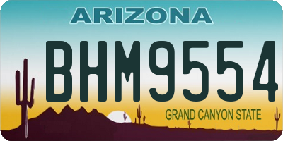 AZ license plate BHM9554