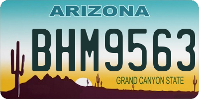 AZ license plate BHM9563