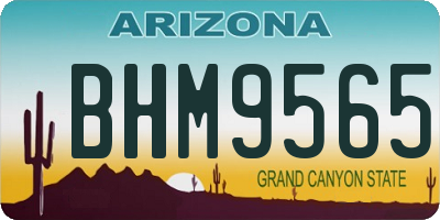 AZ license plate BHM9565