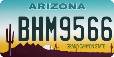 AZ license plate BHM9566