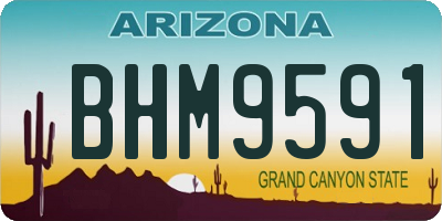 AZ license plate BHM9591