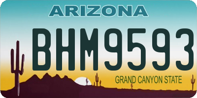 AZ license plate BHM9593