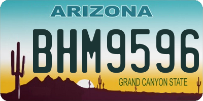 AZ license plate BHM9596