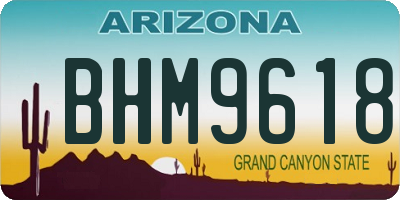AZ license plate BHM9618