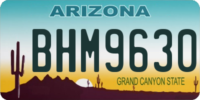 AZ license plate BHM9630