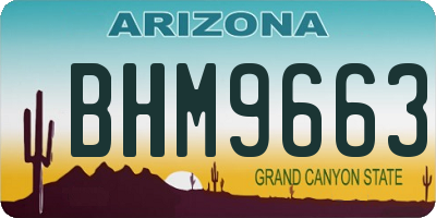 AZ license plate BHM9663