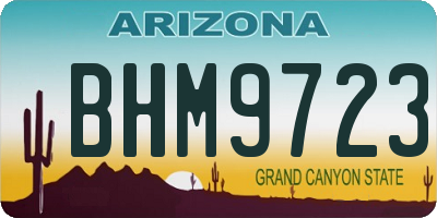 AZ license plate BHM9723