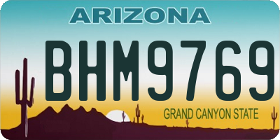 AZ license plate BHM9769