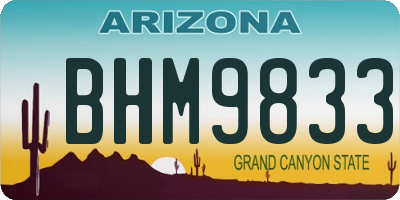 AZ license plate BHM9833