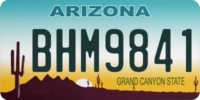AZ license plate BHM9841
