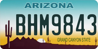AZ license plate BHM9843