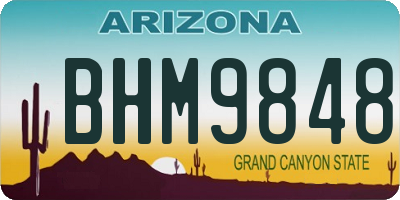 AZ license plate BHM9848