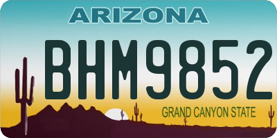AZ license plate BHM9852