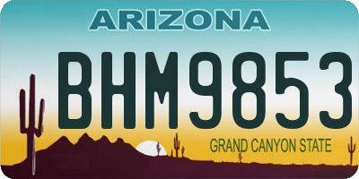 AZ license plate BHM9853