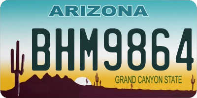 AZ license plate BHM9864