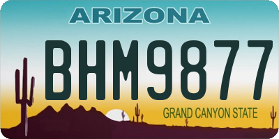 AZ license plate BHM9877