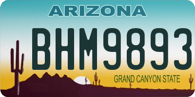AZ license plate BHM9893