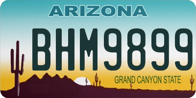 AZ license plate BHM9899