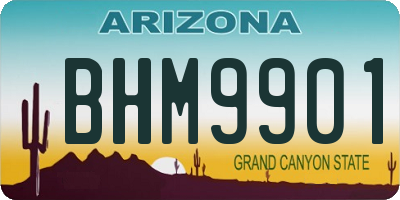 AZ license plate BHM9901
