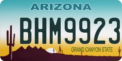 AZ license plate BHM9923
