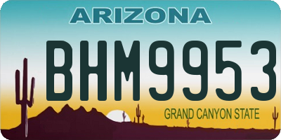 AZ license plate BHM9953