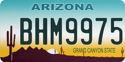AZ license plate BHM9975