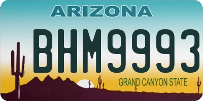 AZ license plate BHM9993