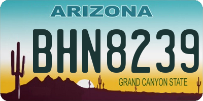 AZ license plate BHN8239