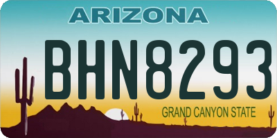 AZ license plate BHN8293