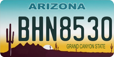 AZ license plate BHN8530