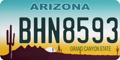 AZ license plate BHN8593