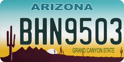AZ license plate BHN9503