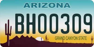 AZ license plate BHO0309