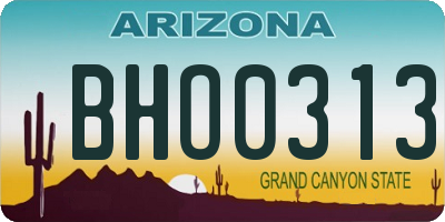 AZ license plate BHO0313