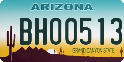 AZ license plate BHO0513