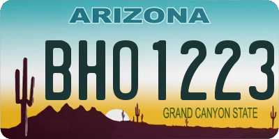 AZ license plate BHO1223