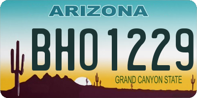 AZ license plate BHO1229