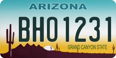 AZ license plate BHO1231