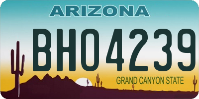 AZ license plate BHO4239