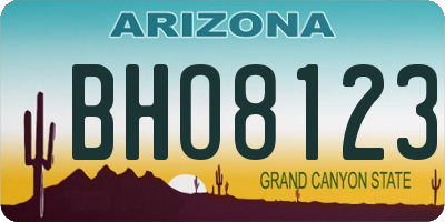 AZ license plate BHO8123