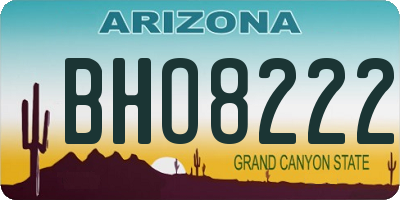 AZ license plate BHO8222