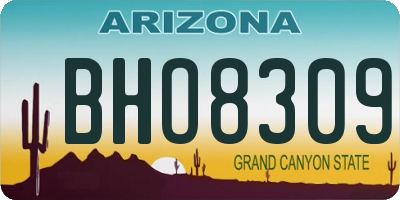 AZ license plate BHO8309