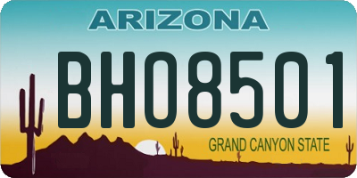 AZ license plate BHO8501