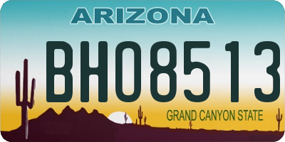 AZ license plate BHO8513