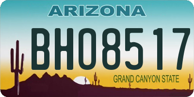 AZ license plate BHO8517